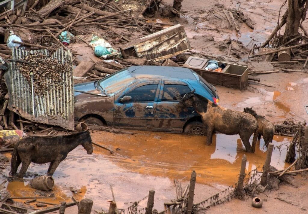 Carro e cavalos cobertos de lama.