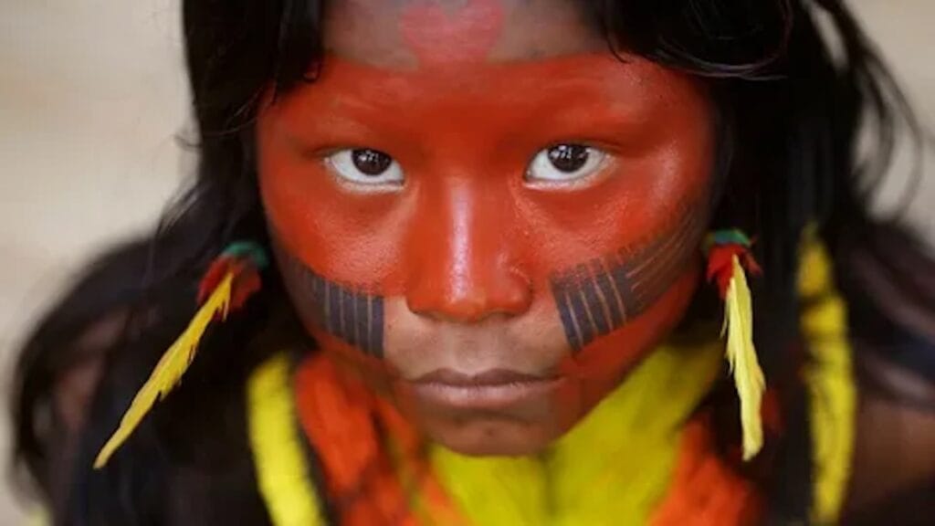 luta-povo-indigena-semente